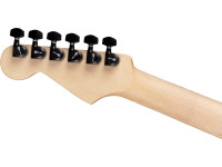 Charvel Pro-Mod DK24 HH HT E DS Charvel Pro-Mod DK24 HH HT E DS
